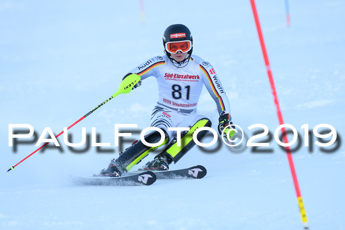 FIS Slalom + NJC Damen + FIS Herren 27.01.2019