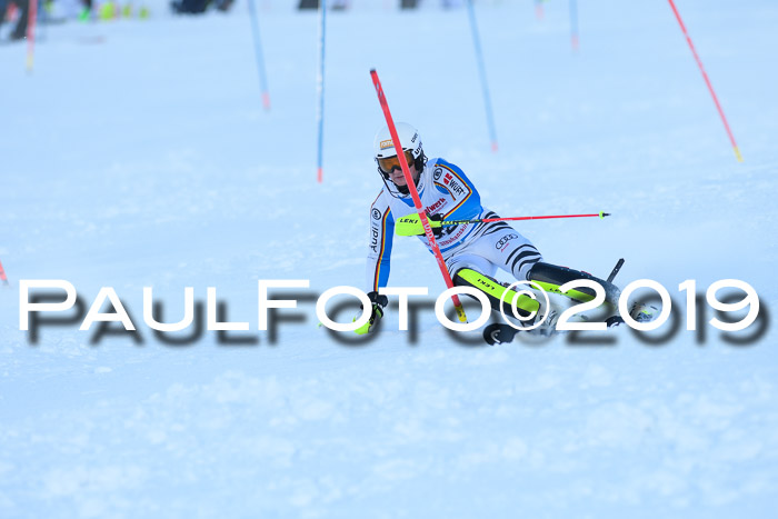 FIS Slalom + NJC Damen + FIS Herren 27.01.2019