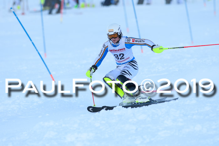 FIS Slalom + NJC Damen + FIS Herren 27.01.2019