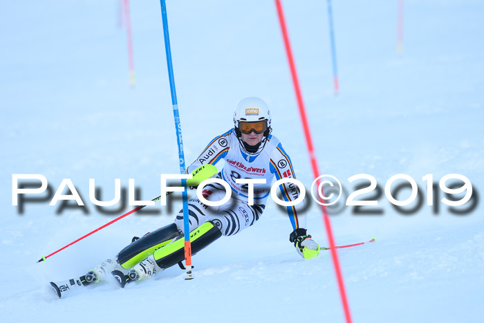 FIS Slalom + NJC Damen + FIS Herren 27.01.2019