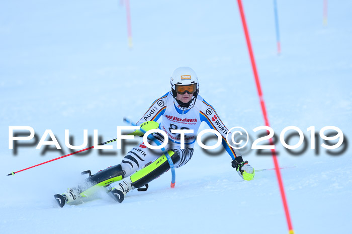 FIS Slalom + NJC Damen + FIS Herren 27.01.2019