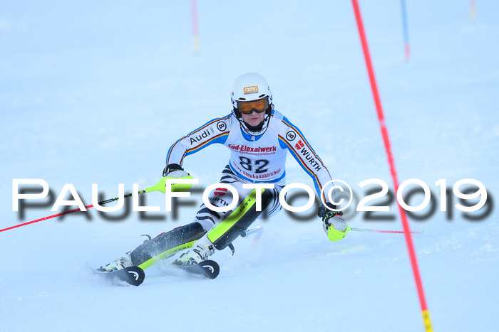 FIS Slalom + NJC Damen + FIS Herren 27.01.2019