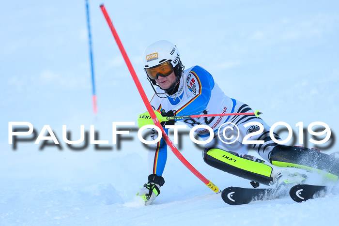 FIS Slalom + NJC Damen + FIS Herren 27.01.2019