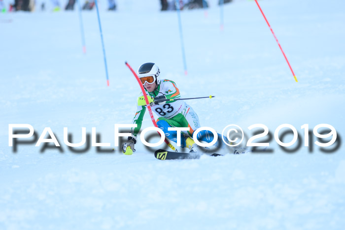 FIS Slalom + NJC Damen + FIS Herren 27.01.2019