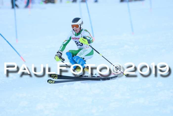 FIS Slalom + NJC Damen + FIS Herren 27.01.2019