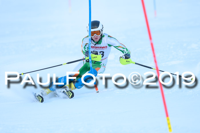 FIS Slalom + NJC Damen + FIS Herren 27.01.2019