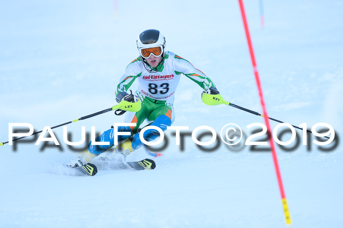 FIS Slalom + NJC Damen + FIS Herren 27.01.2019