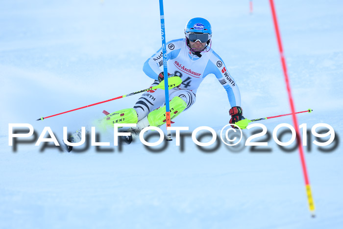 FIS Slalom + NJC Damen + FIS Herren 27.01.2019