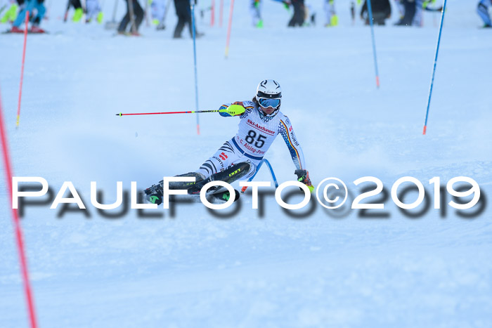 FIS Slalom + NJC Damen + FIS Herren 27.01.2019