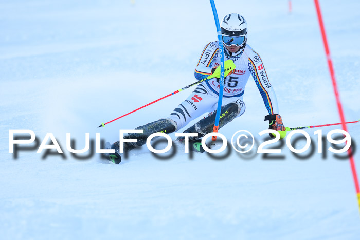 FIS Slalom + NJC Damen + FIS Herren 27.01.2019