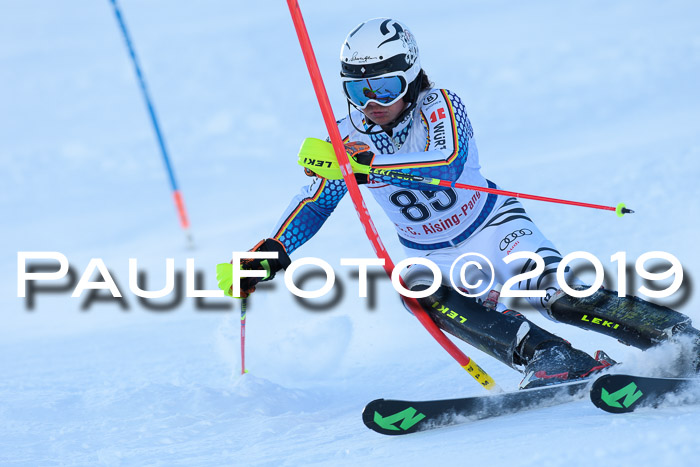 FIS Slalom + NJC Damen + FIS Herren 27.01.2019