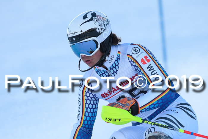 FIS Slalom + NJC Damen + FIS Herren 27.01.2019
