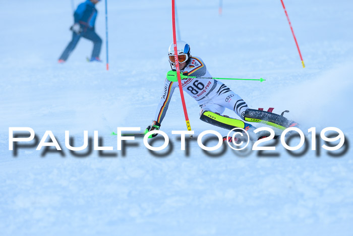 FIS Slalom + NJC Damen + FIS Herren 27.01.2019