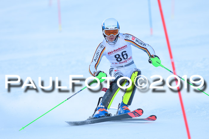 FIS Slalom + NJC Damen + FIS Herren 27.01.2019