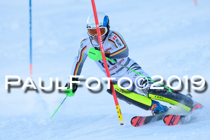 FIS Slalom + NJC Damen + FIS Herren 27.01.2019