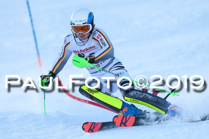 FIS Slalom + NJC Damen + FIS Herren 27.01.2019