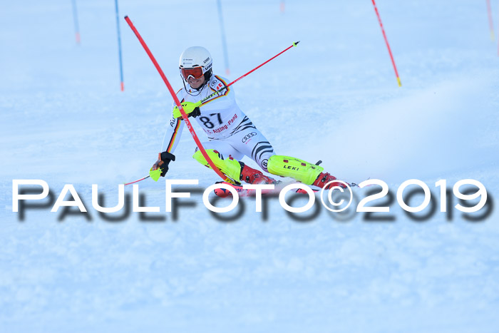 FIS Slalom + NJC Damen + FIS Herren 27.01.2019
