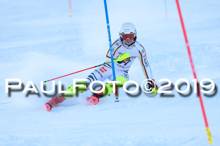 FIS Slalom + NJC Damen + FIS Herren 27.01.2019