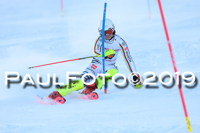 FIS Slalom + NJC Damen + FIS Herren 27.01.2019