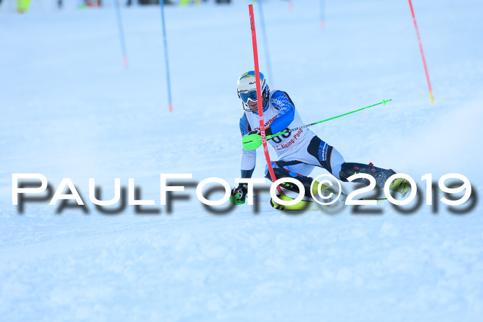 FIS Slalom + NJC Damen + FIS Herren 27.01.2019