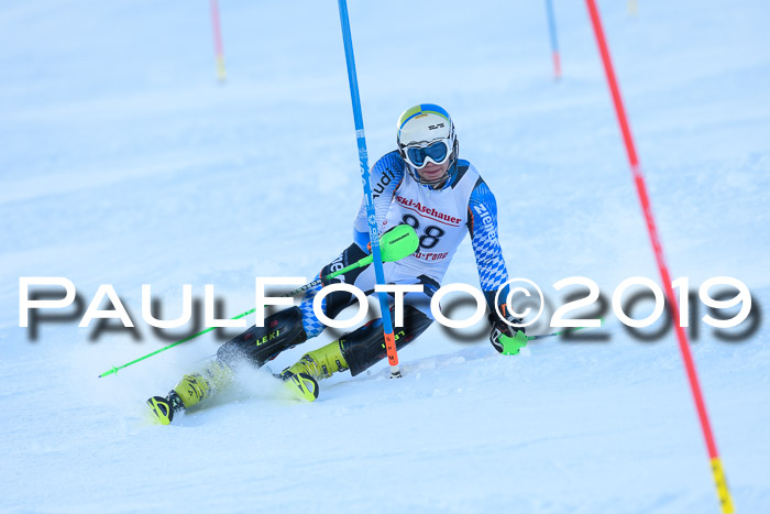 FIS Slalom + NJC Damen + FIS Herren 27.01.2019