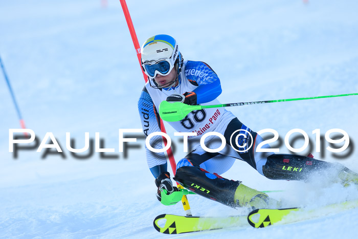 FIS Slalom + NJC Damen + FIS Herren 27.01.2019