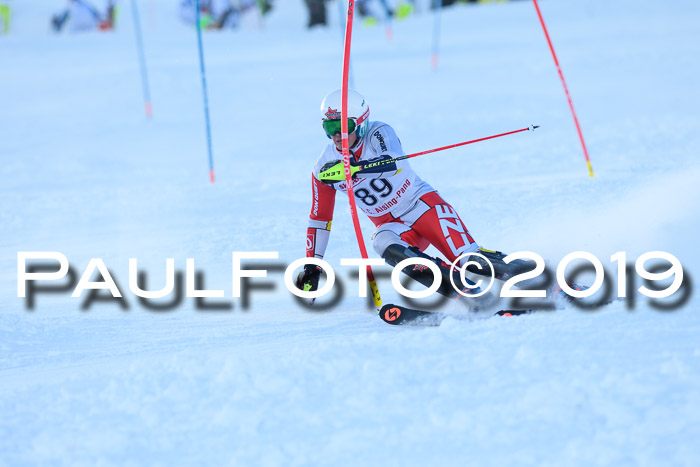 FIS Slalom + NJC Damen + FIS Herren 27.01.2019