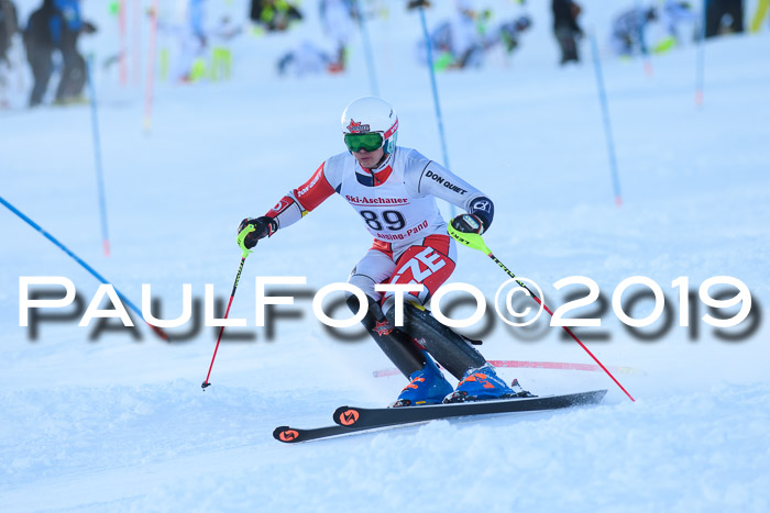 FIS Slalom + NJC Damen + FIS Herren 27.01.2019