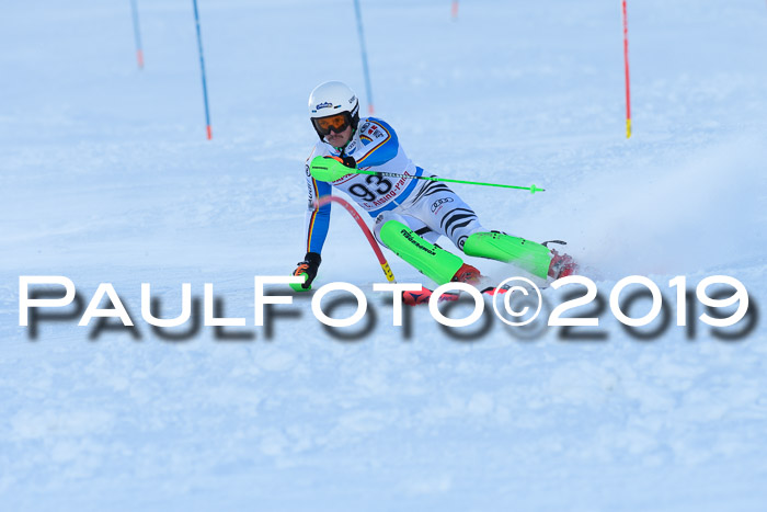 FIS Slalom + NJC Damen + FIS Herren 27.01.2019