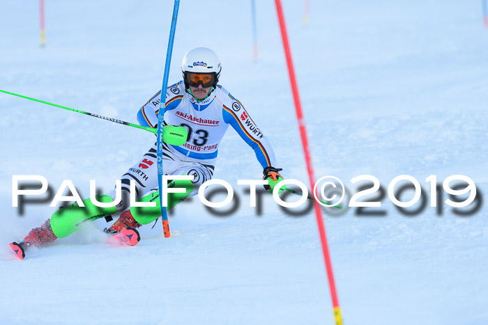 FIS Slalom + NJC Damen + FIS Herren 27.01.2019