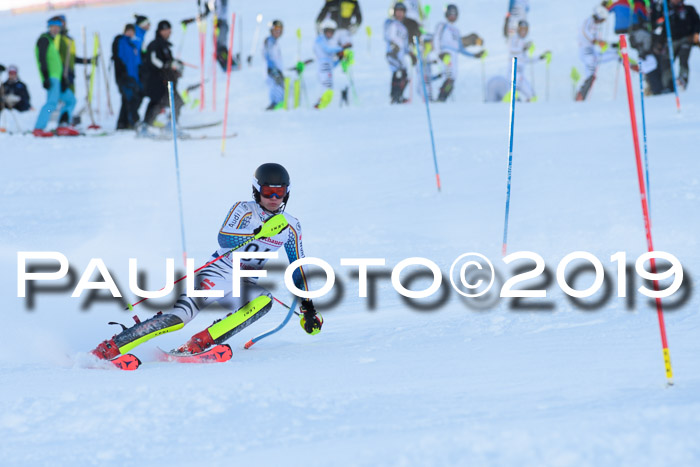 FIS Slalom + NJC Damen + FIS Herren 27.01.2019