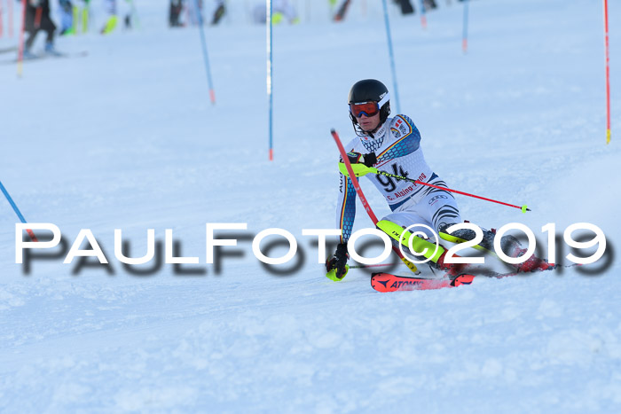 FIS Slalom + NJC Damen + FIS Herren 27.01.2019