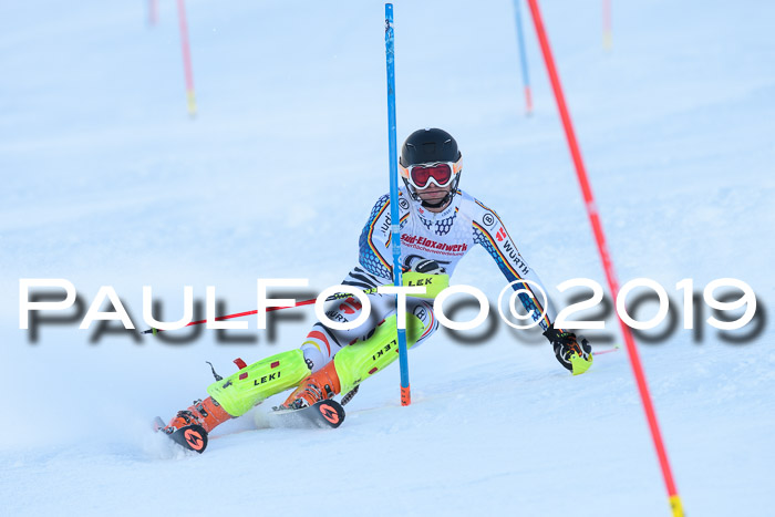 FIS Slalom + NJC Damen + FIS Herren 27.01.2019