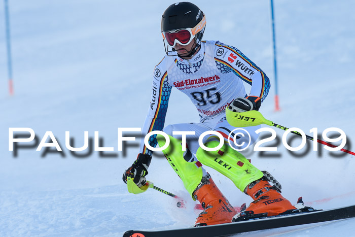 FIS Slalom + NJC Damen + FIS Herren 27.01.2019