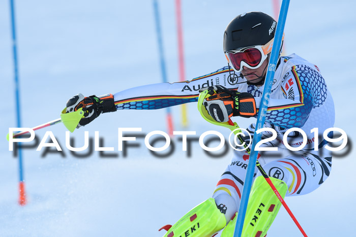 FIS Slalom + NJC Damen + FIS Herren 27.01.2019