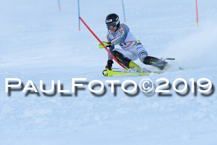 FIS Slalom + NJC Damen + FIS Herren 27.01.2019