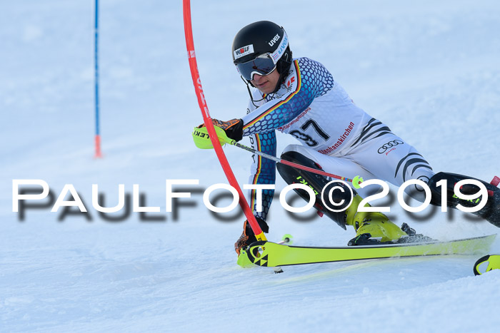 FIS Slalom + NJC Damen + FIS Herren 27.01.2019