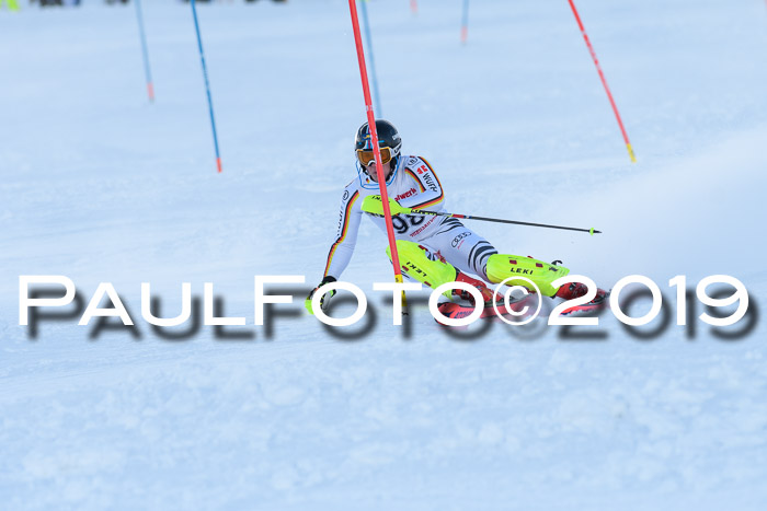 FIS Slalom + NJC Damen + FIS Herren 27.01.2019