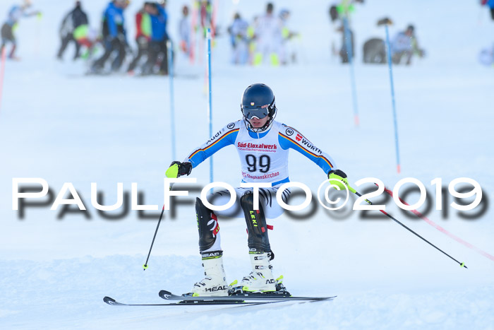 FIS Slalom + NJC Damen + FIS Herren 27.01.2019