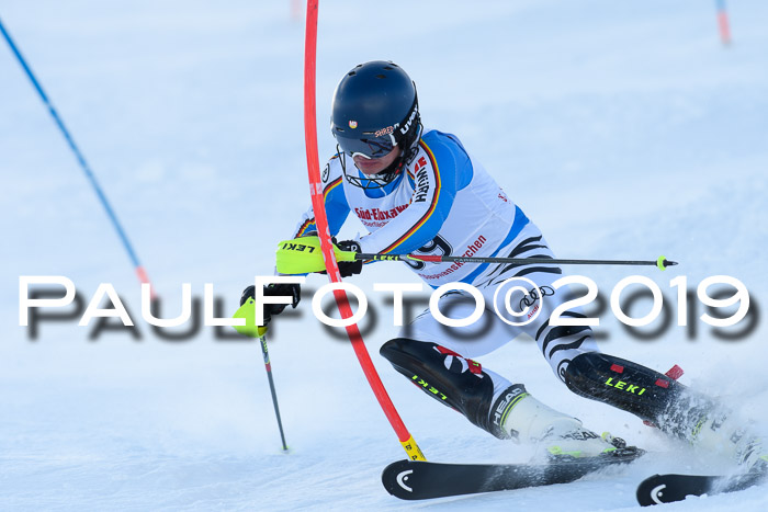 FIS Slalom + NJC Damen + FIS Herren 27.01.2019