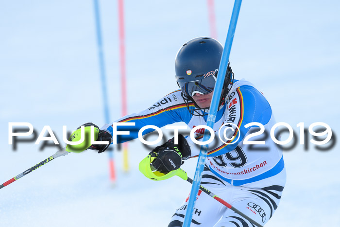 FIS Slalom + NJC Damen + FIS Herren 27.01.2019