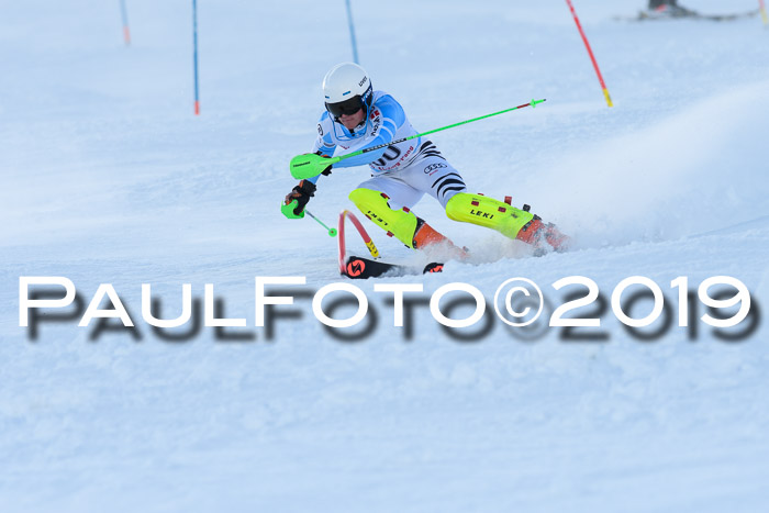 FIS Slalom + NJC Damen + FIS Herren 27.01.2019