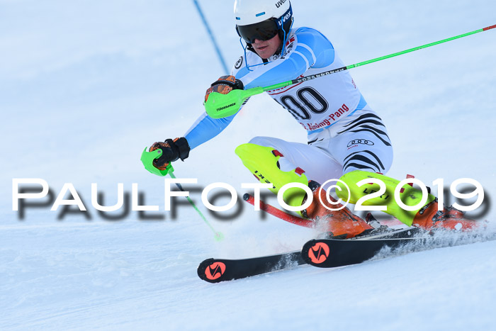 FIS Slalom + NJC Damen + FIS Herren 27.01.2019