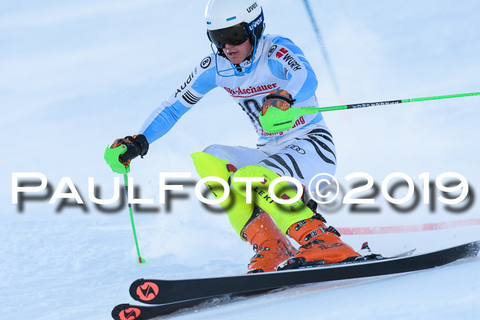 FIS Slalom + NJC Damen + FIS Herren 27.01.2019
