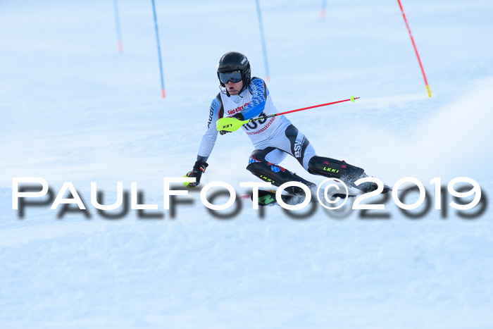 FIS Slalom + NJC Damen + FIS Herren 27.01.2019