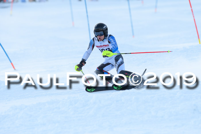 FIS Slalom + NJC Damen + FIS Herren 27.01.2019