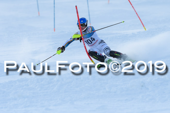 FIS Slalom + NJC Damen + FIS Herren 27.01.2019
