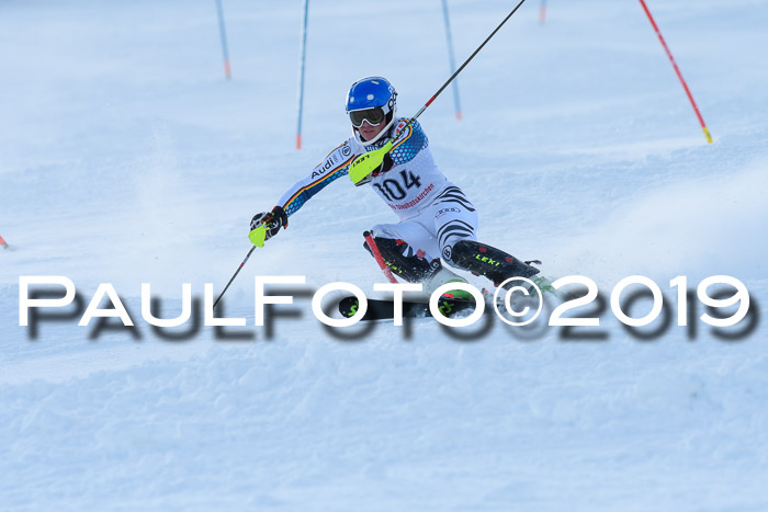 FIS Slalom + NJC Damen + FIS Herren 27.01.2019