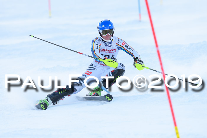 FIS Slalom + NJC Damen + FIS Herren 27.01.2019
