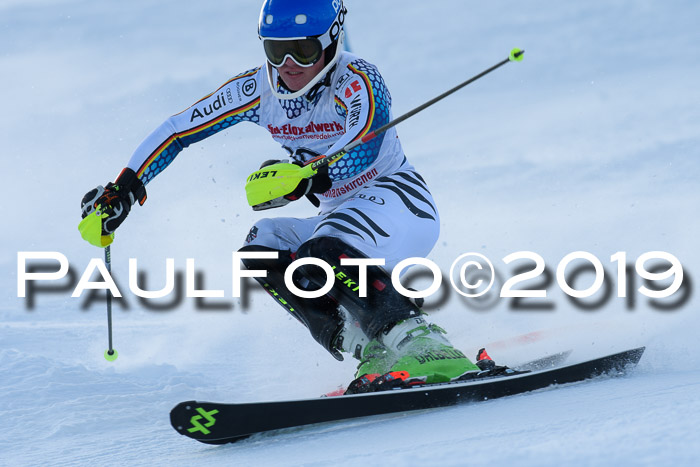 FIS Slalom + NJC Damen + FIS Herren 27.01.2019